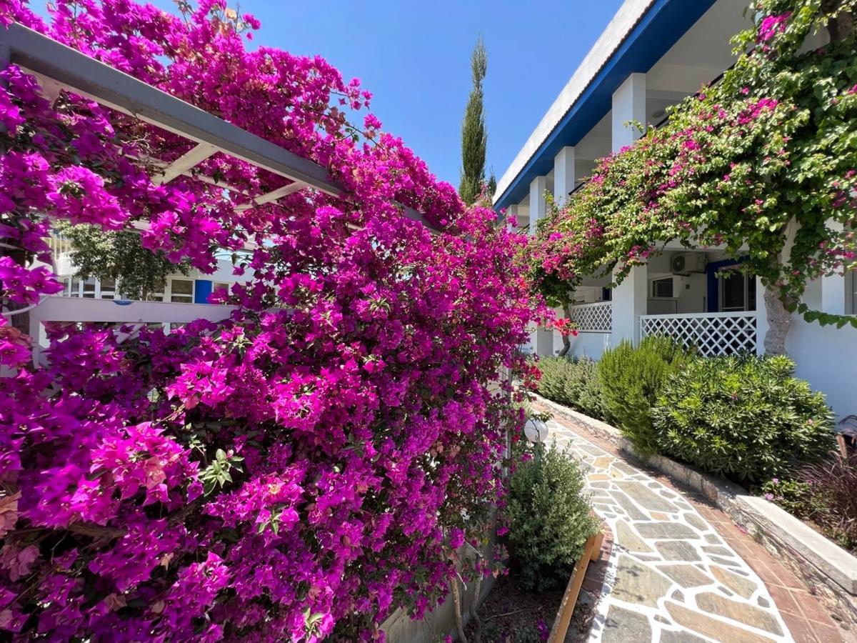 Scala Aparts & - Rhodes Aparthotel 2*